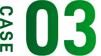 CASE 03