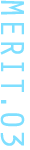 MERIT 03