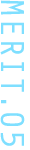 MERIT 05